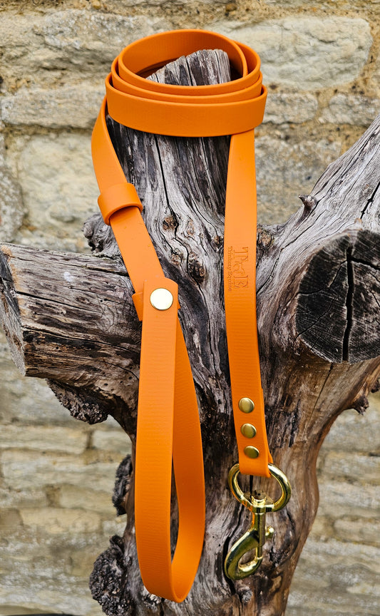 Burnt Orange - Waterproof BioThane® Break-Away Lead Line