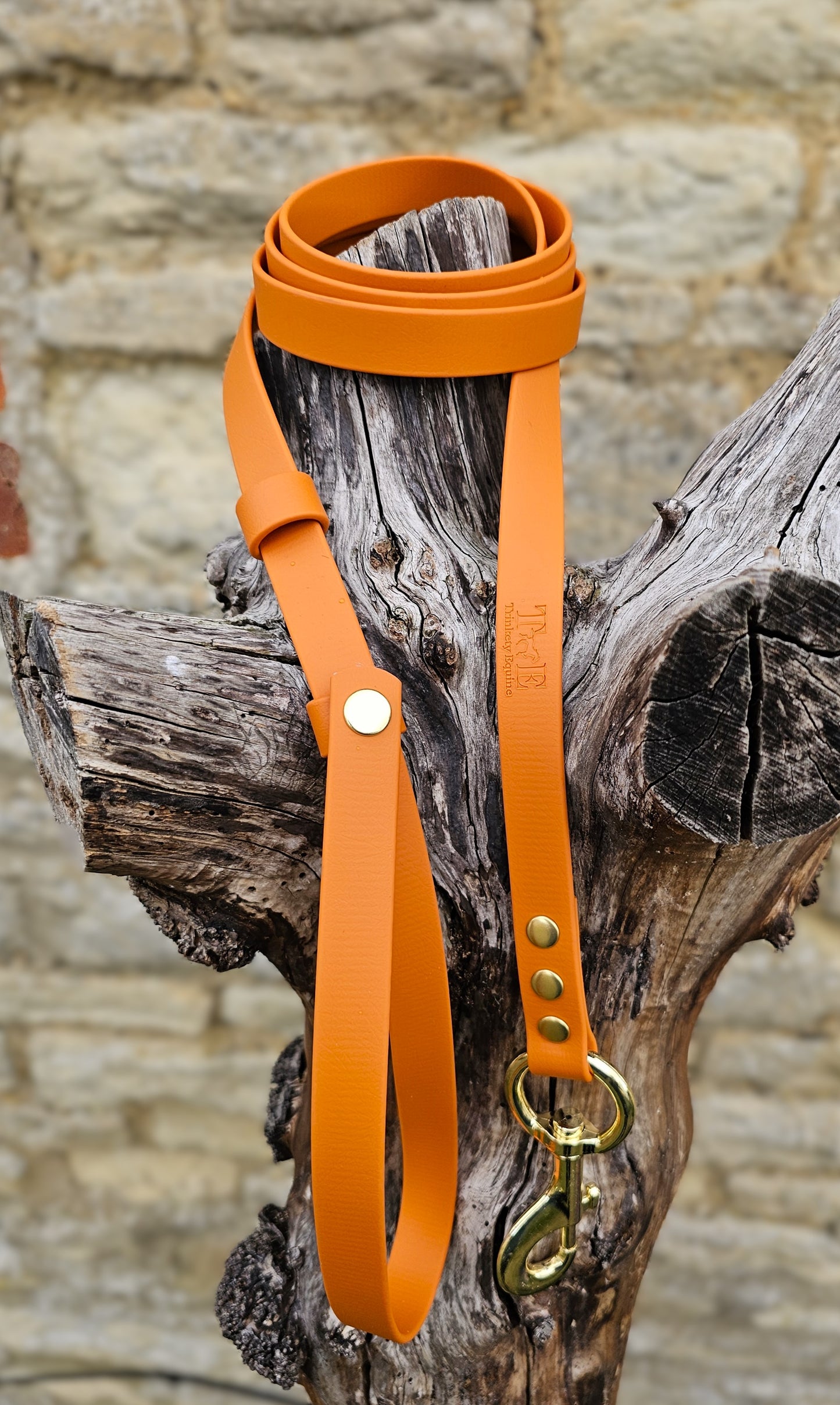 Burnt Orange - Waterproof BioThane® Break-Away Lead Line