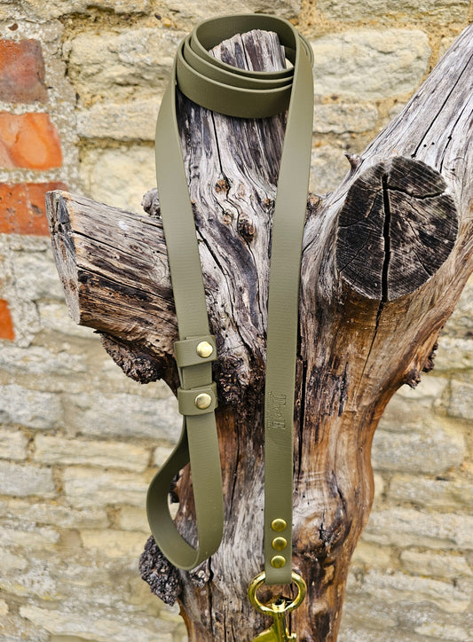 Olive - Waterproof BioThane® Break-Away Lead Line