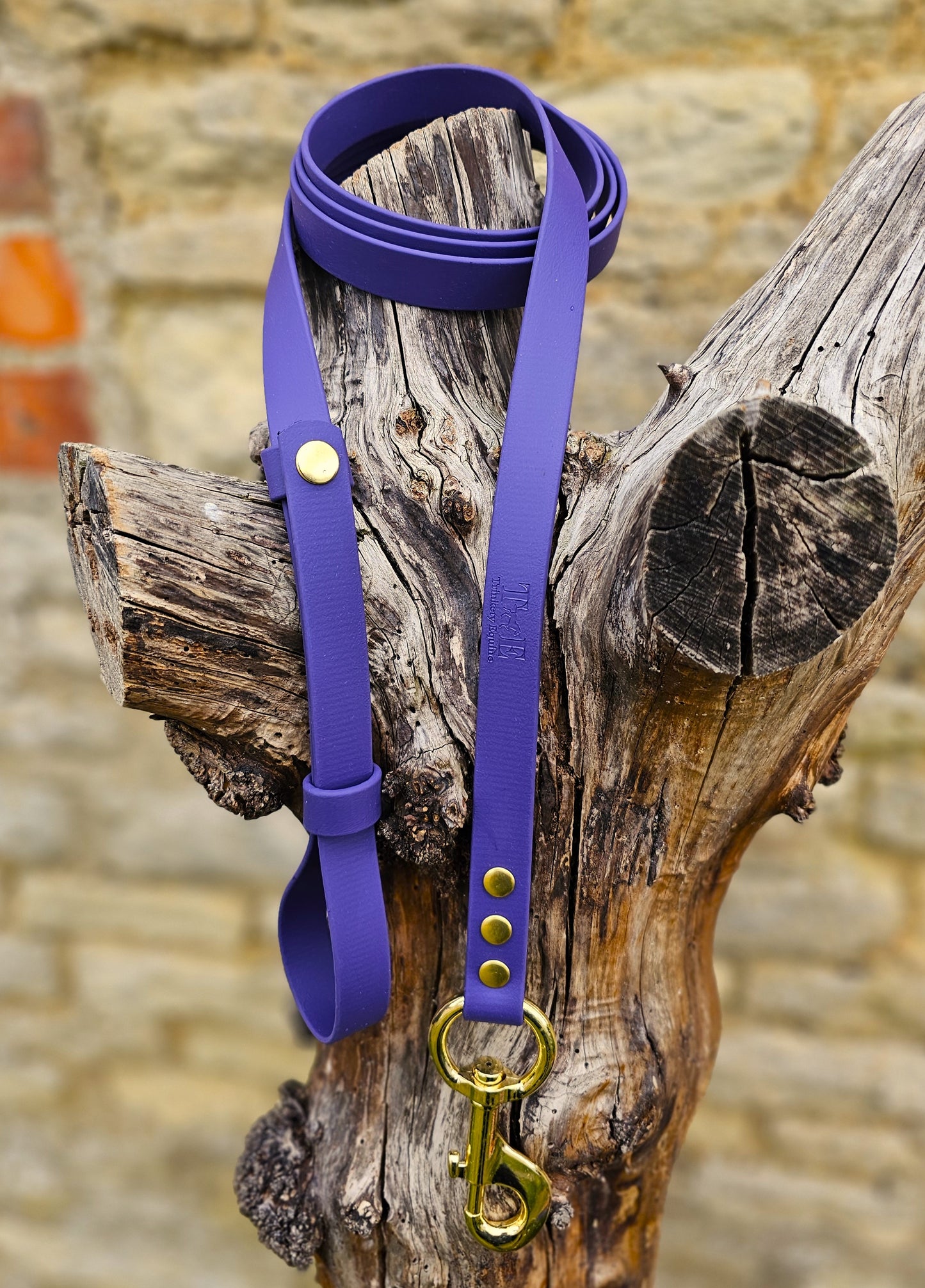 Purple - Waterproof BioThane® Break-Away Lead Line
