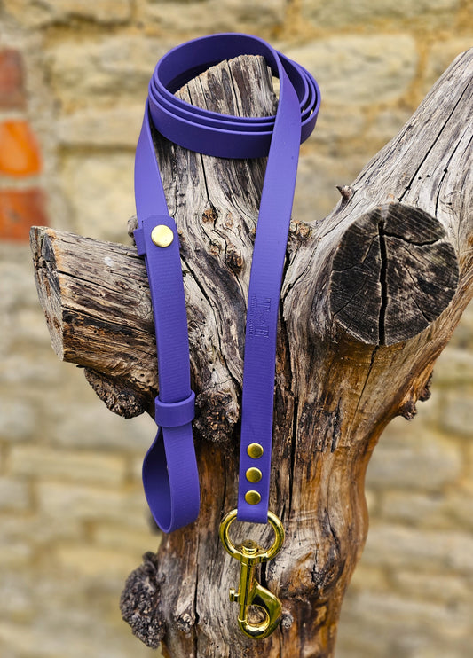 Purple - Waterproof BioThane® Break-Away Lead Line