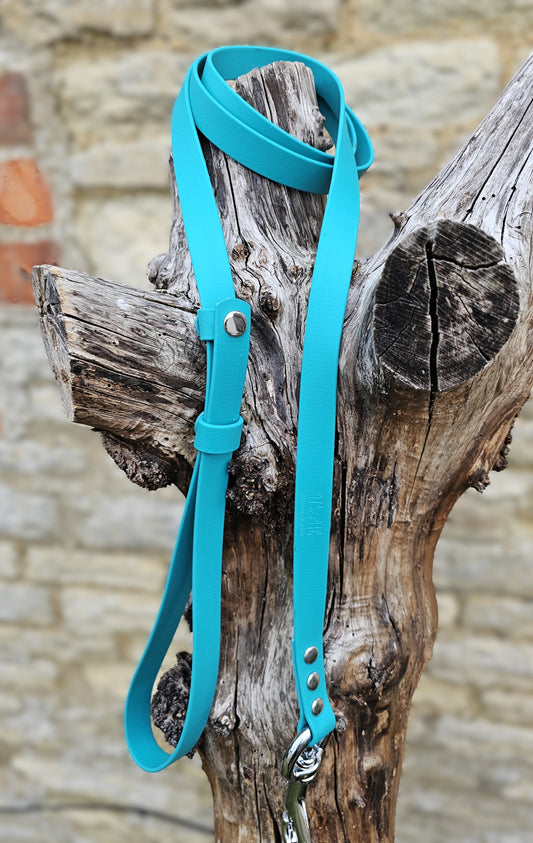Teal - Waterproof BioThane® Break-Away Lead Line