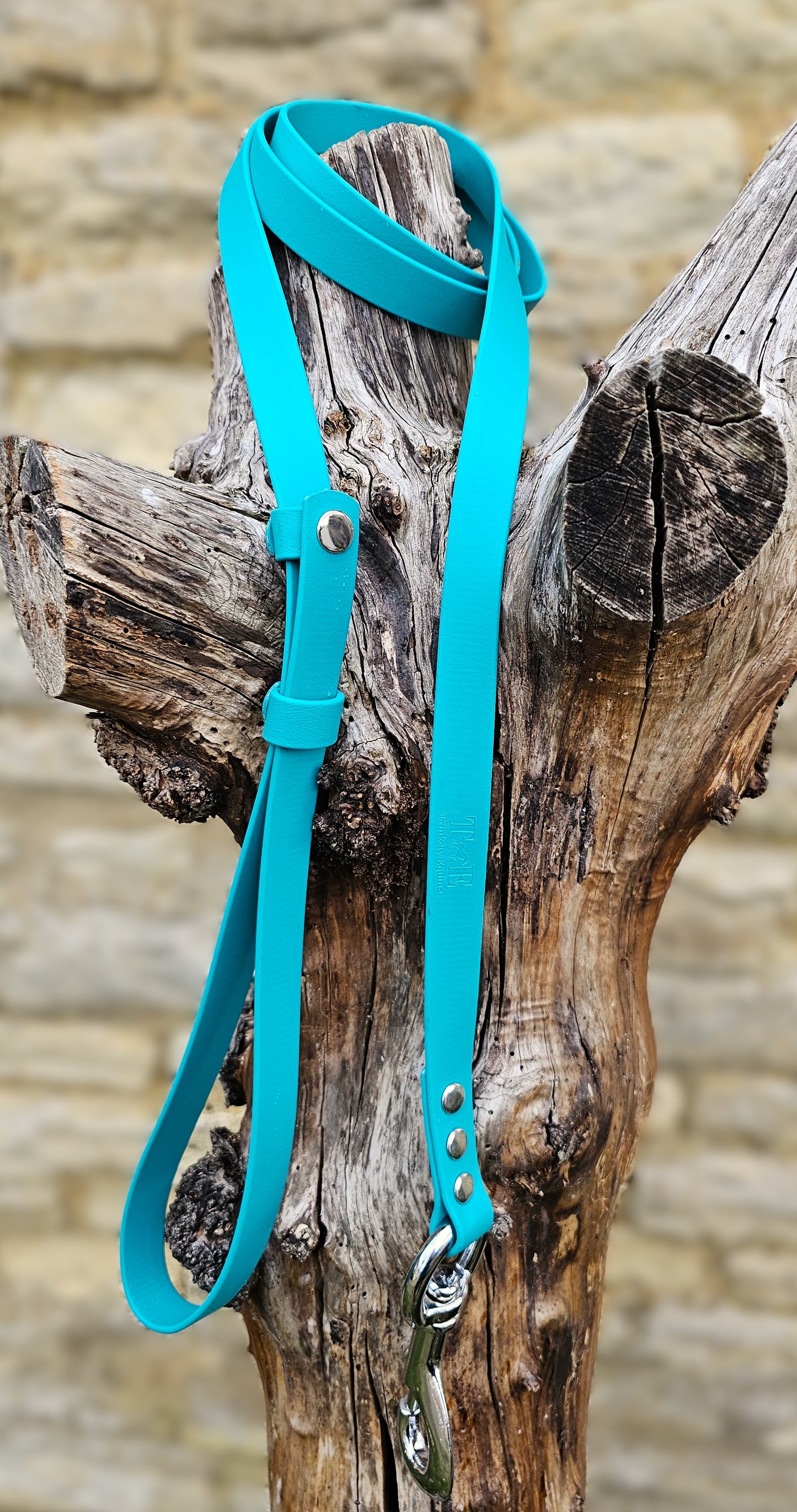 Teal - Waterproof BioThane® Break-Away Lead Line