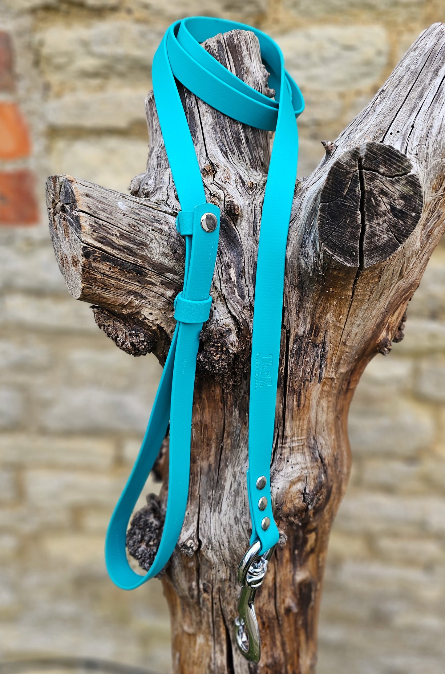 Teal - Waterproof BioThane® Break-Away Lead Line