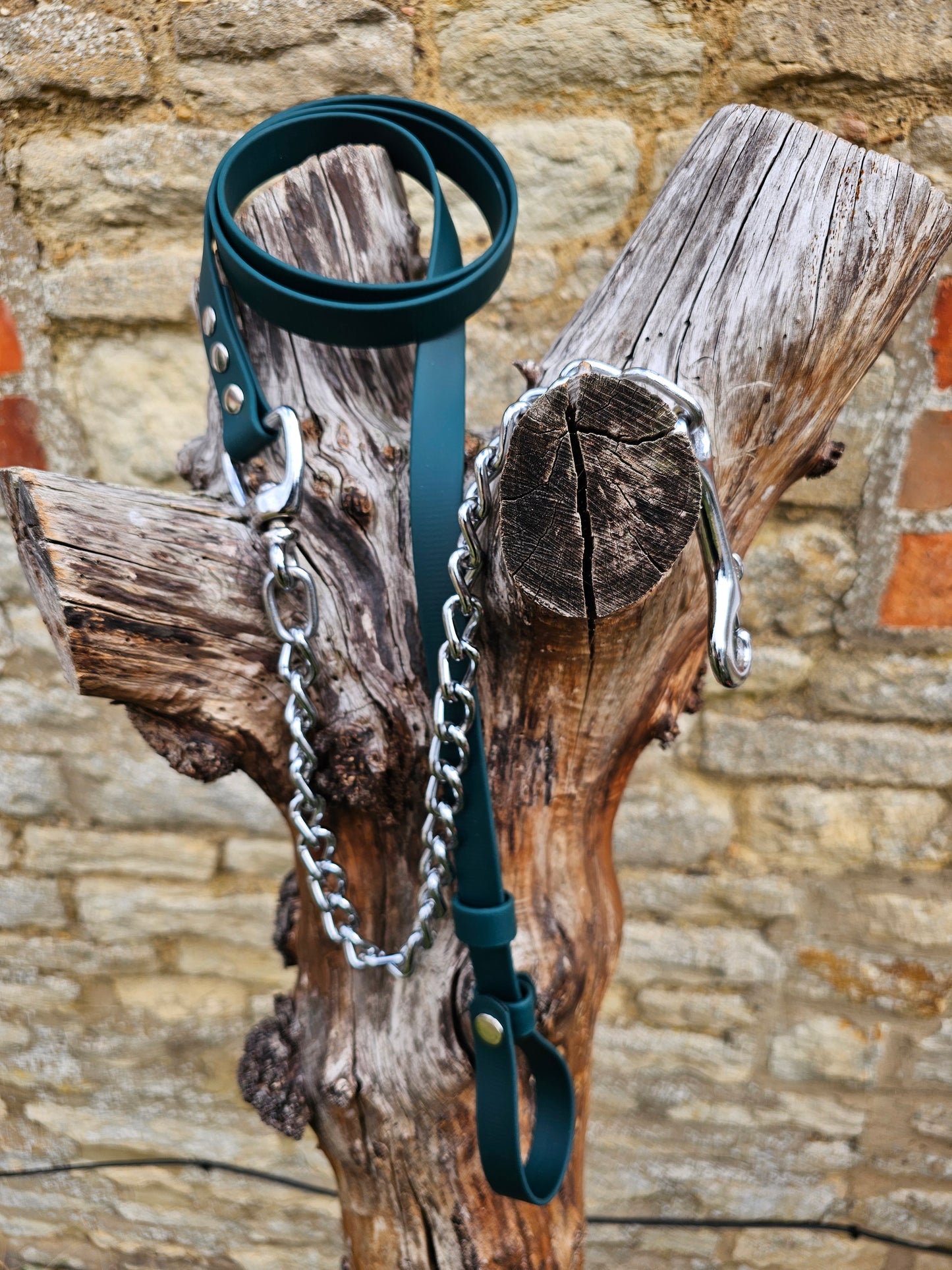 Dark Green - Waterproof BioThane® Break-Away Lead Line with Chain