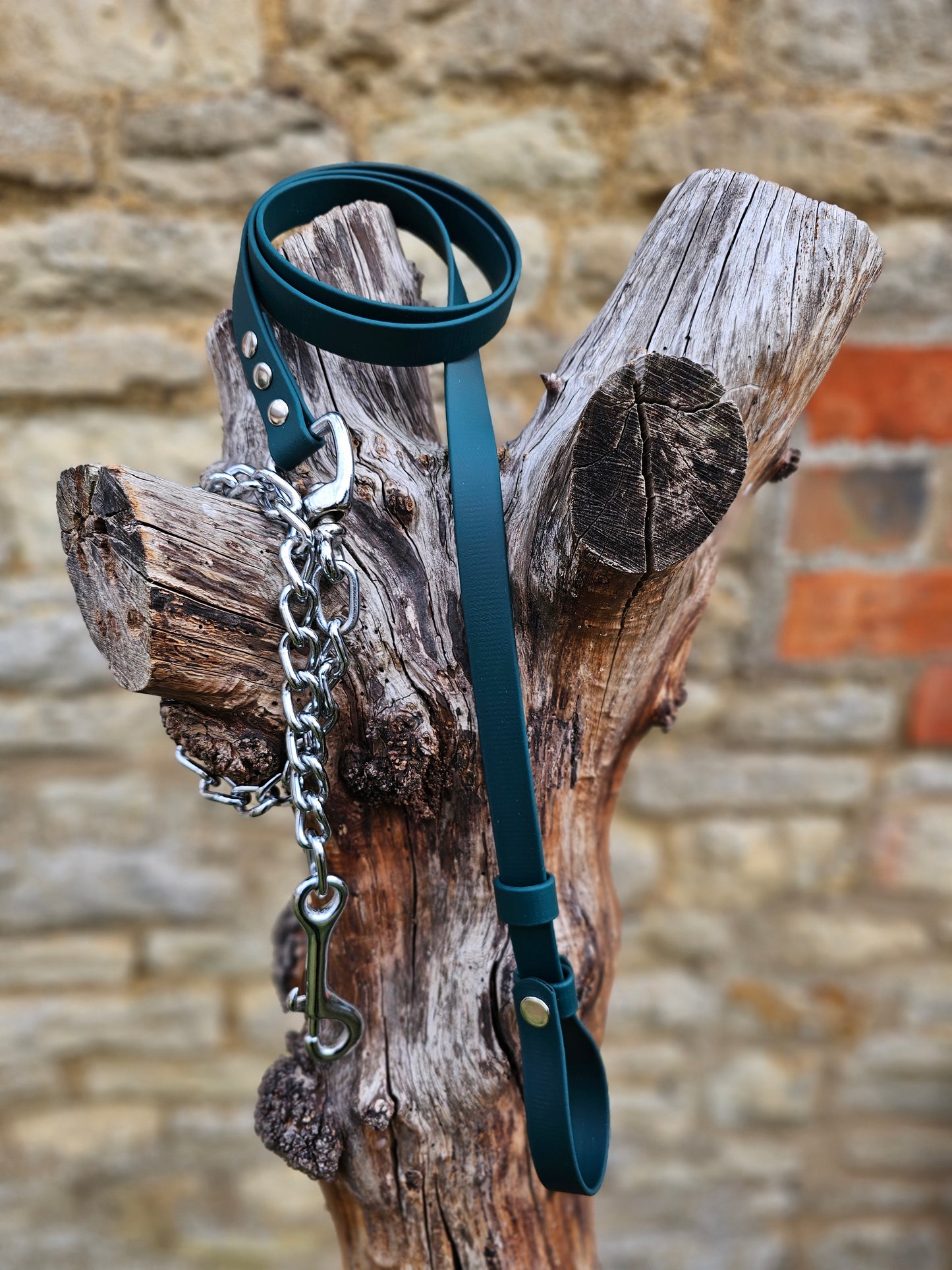 Dark Green - Waterproof BioThane® Break-Away Lead Line with Chain