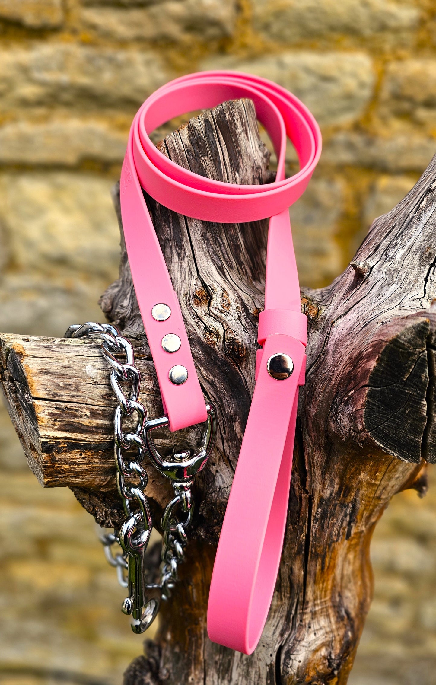 Baby Pink - Waterproof BioThane® Break-Away Lead Line with Chain