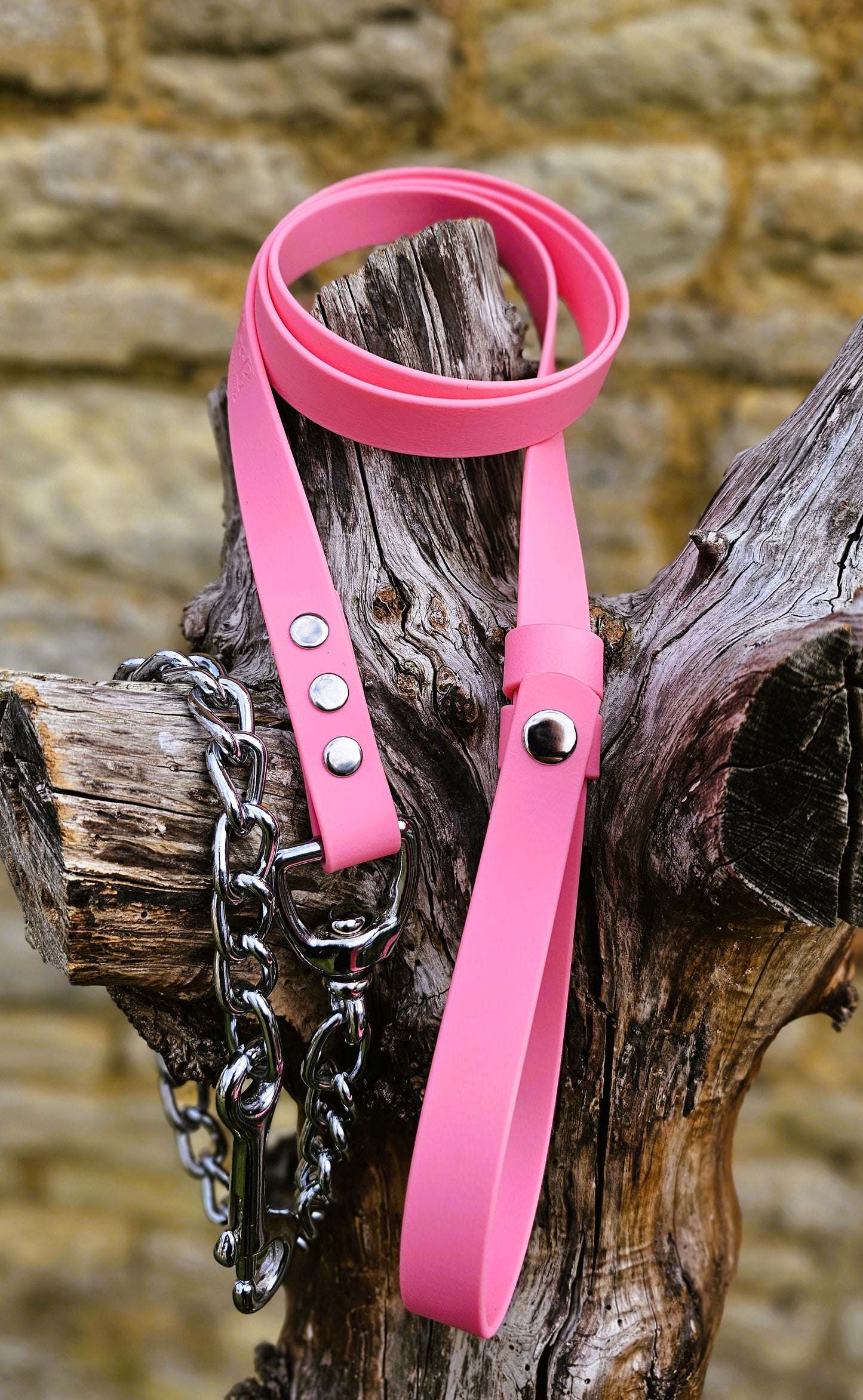 Baby Pink - Waterproof BioThane® Break-Away Lead Line with Chain