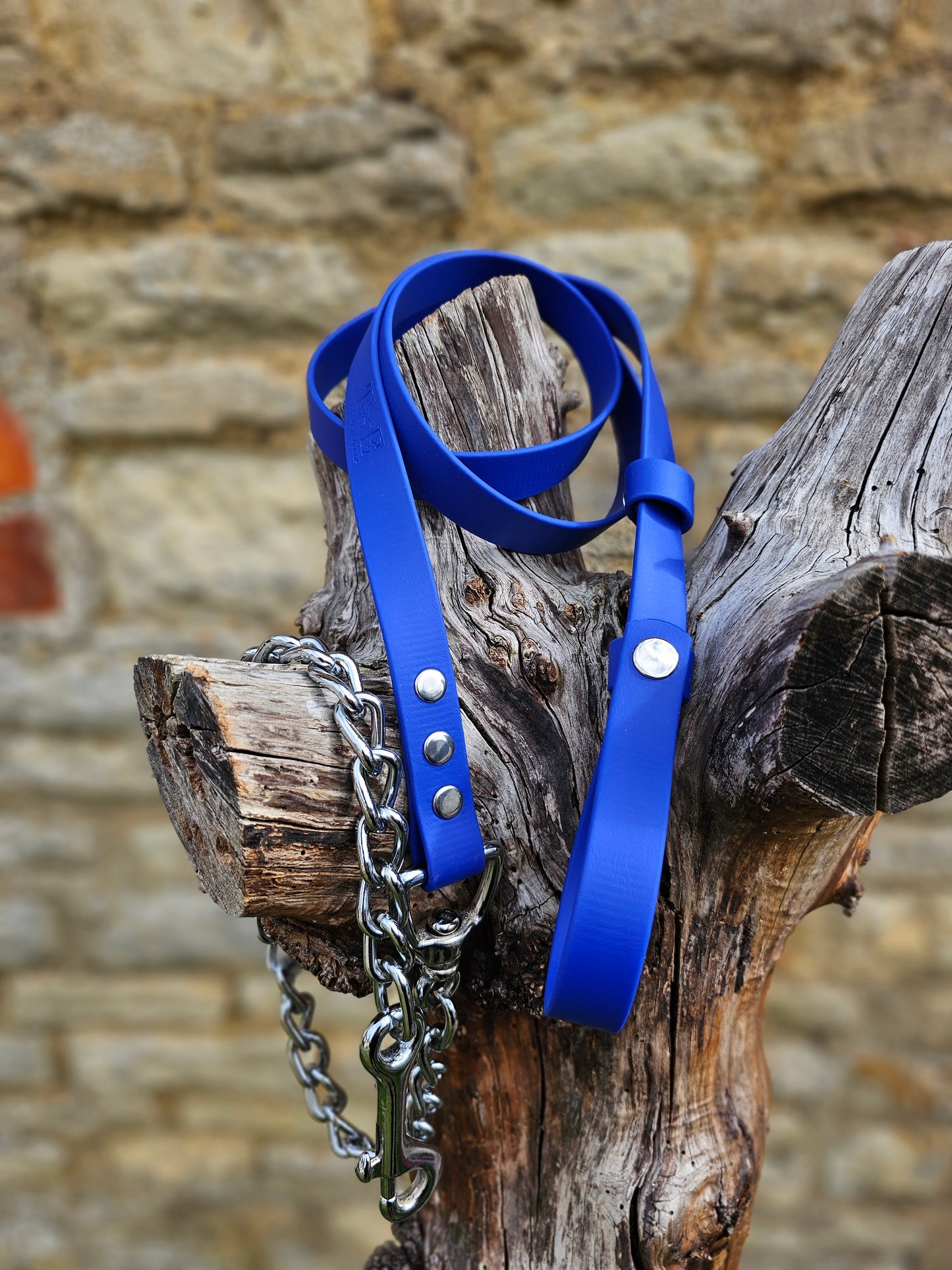 Royal Blue - Waterproof BioThane® Break-Away Lead Line with Chain