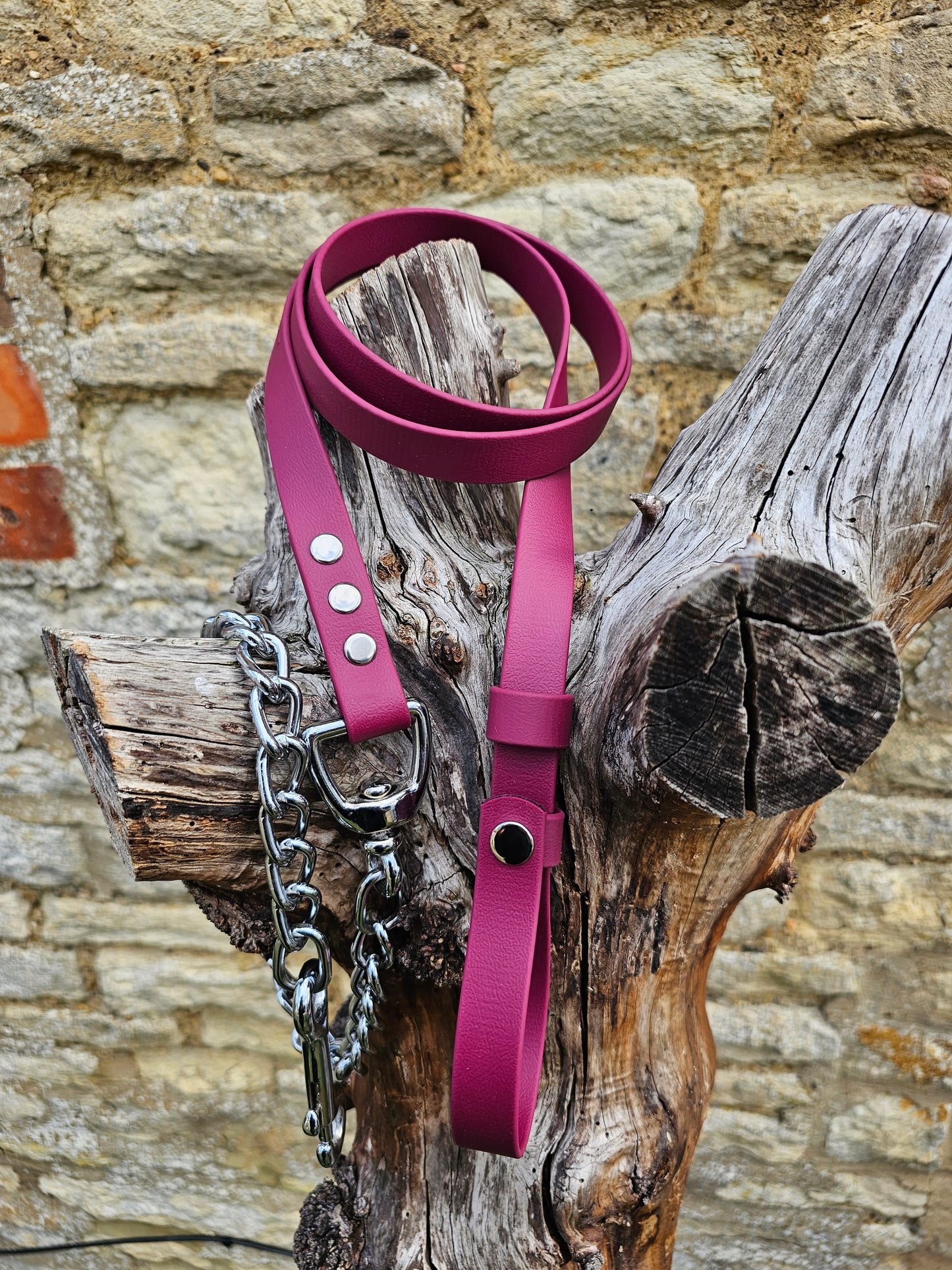 Burgundy - Waterproof BioThane® Break-Away Lead Line with Chain