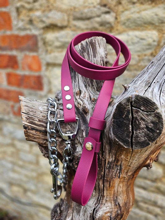Burgundy - Waterproof BioThane® Break-Away Lead Line with Chain