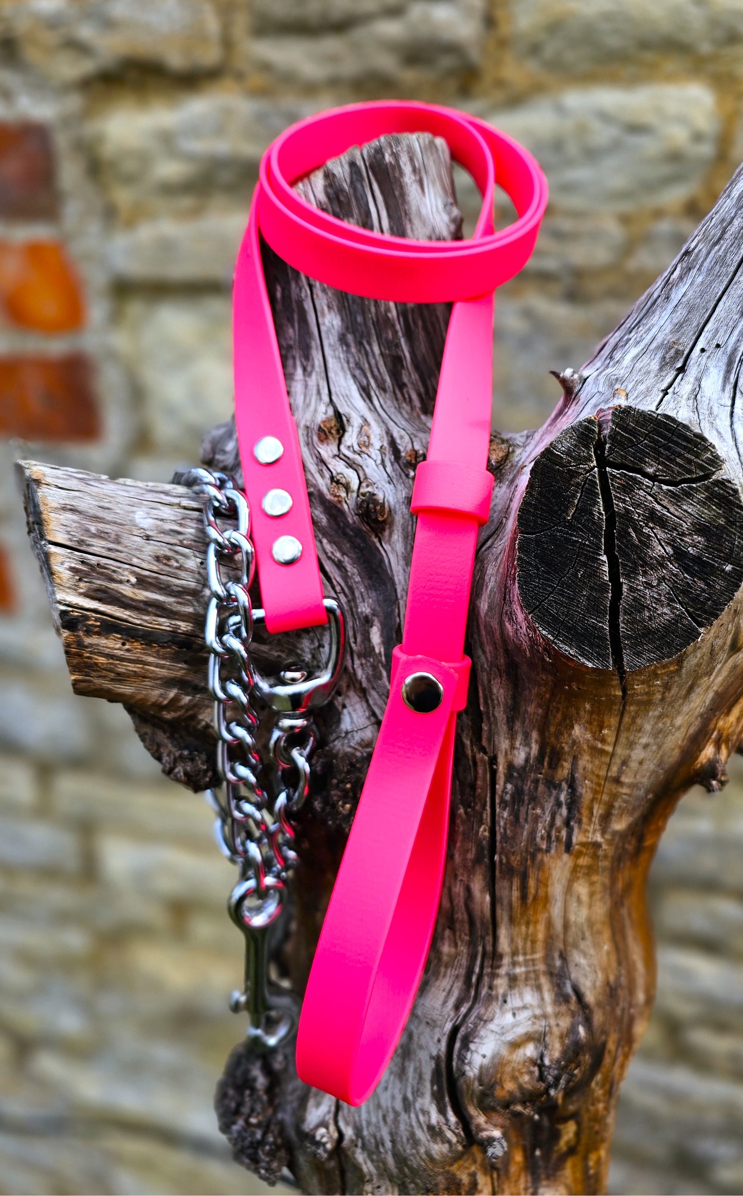 Neon Pink - Waterproof BioThane® Break-Away Lead Line with Chain