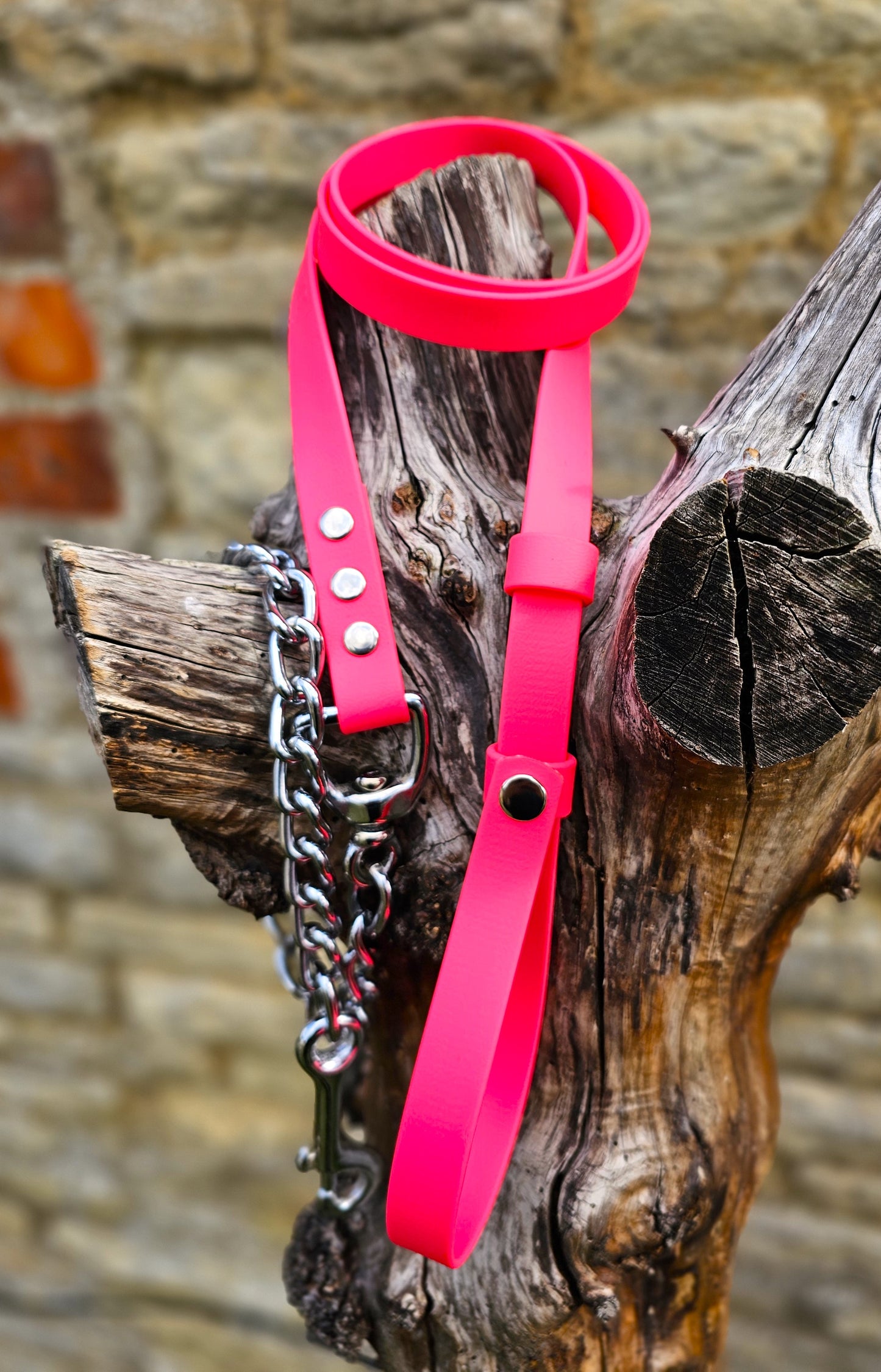 Neon Pink - Waterproof BioThane® Break-Away Lead Line with Chain
