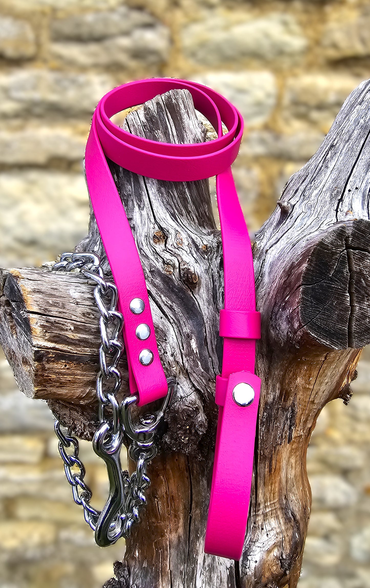 Magenta - Waterproof BioThane® Break-Away Lead Line with Chain
