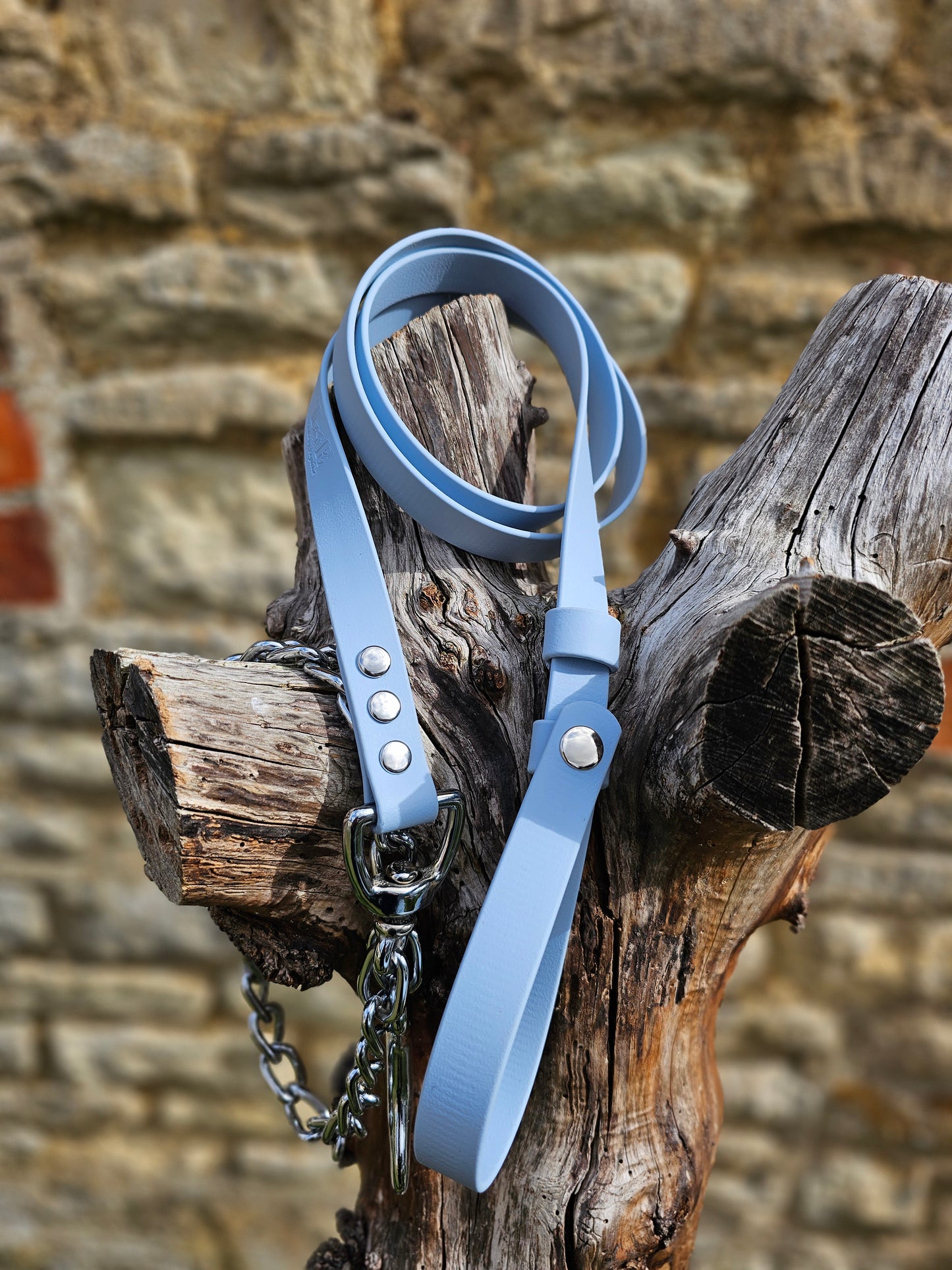 Baby Blue - Waterproof BioThane® Break-Away Lead Line with Chain