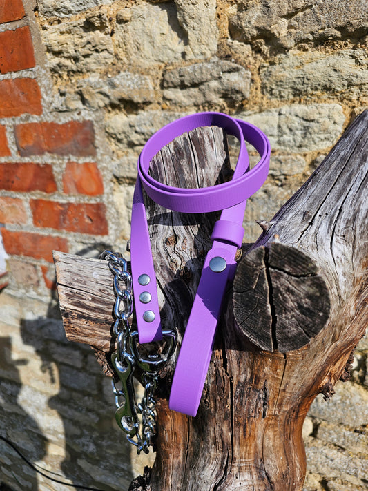 Amethyst - Waterproof BioThane® Break-Away Lead Line with Chain