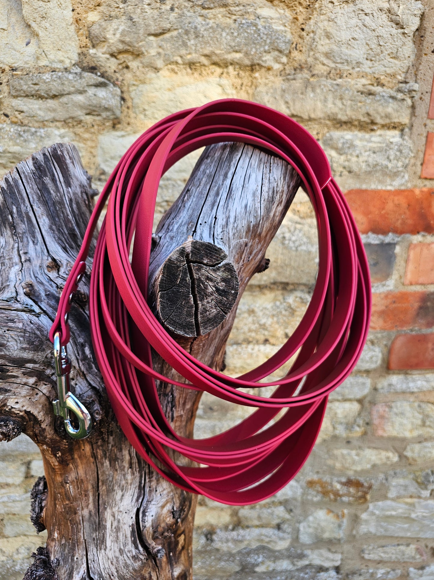 Wine - Waterproof Webbing Horse Lunge Lines