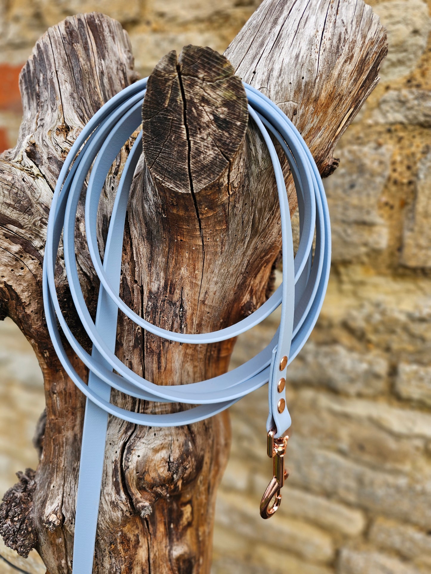 Baby Blue - Premium Waterproof BioThane® Horse Lunge Lines