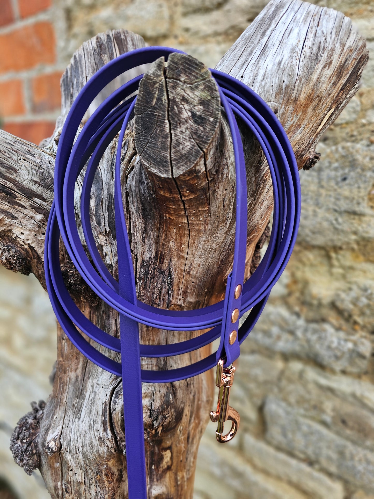 Purple - Premium Waterproof BioThane® Horse Lunge Lines