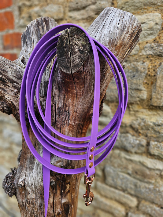 Amethyst - Premium Waterproof BioThane® Horse Lunge Lines