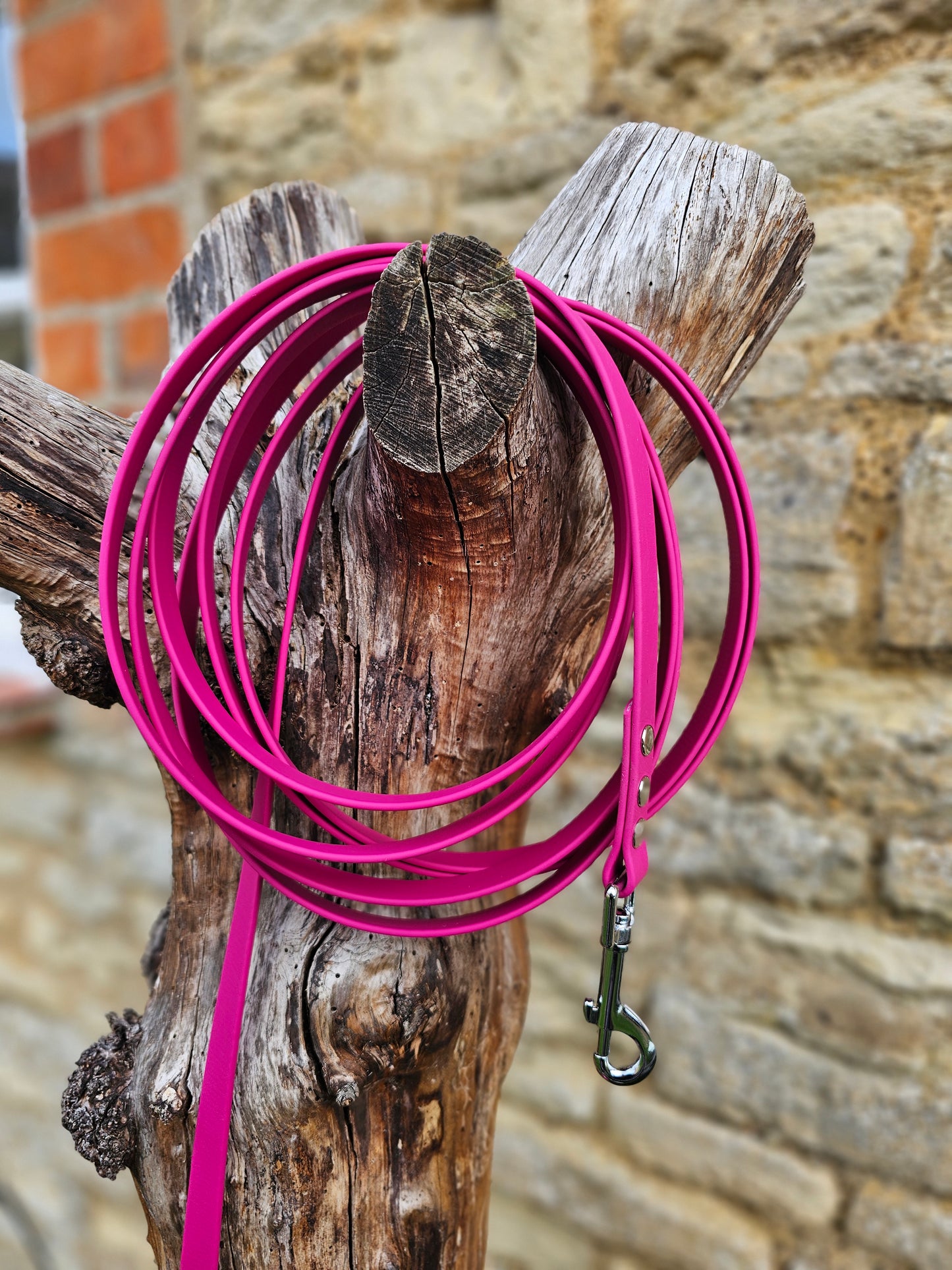 Magenta - Premium Waterproof BioThane® Horse Lunge Lines