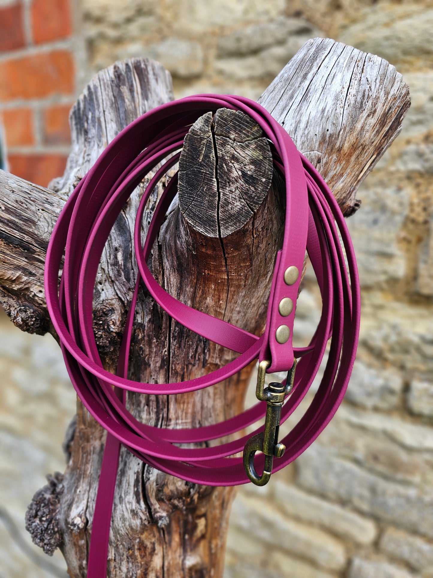 Burgundy - Premium Waterproof BioThane® Horse Lunge Lines