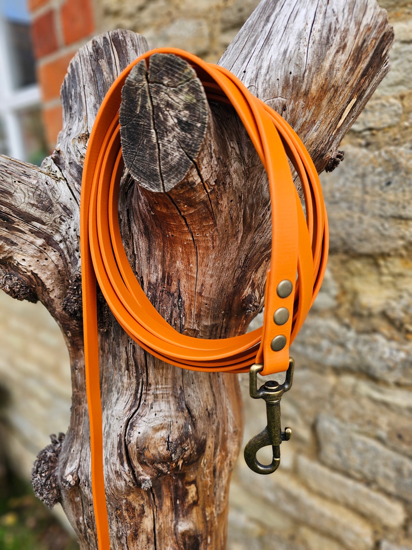Burnt Orange - Premium Waterproof BioThane® Horse Lunge Lines