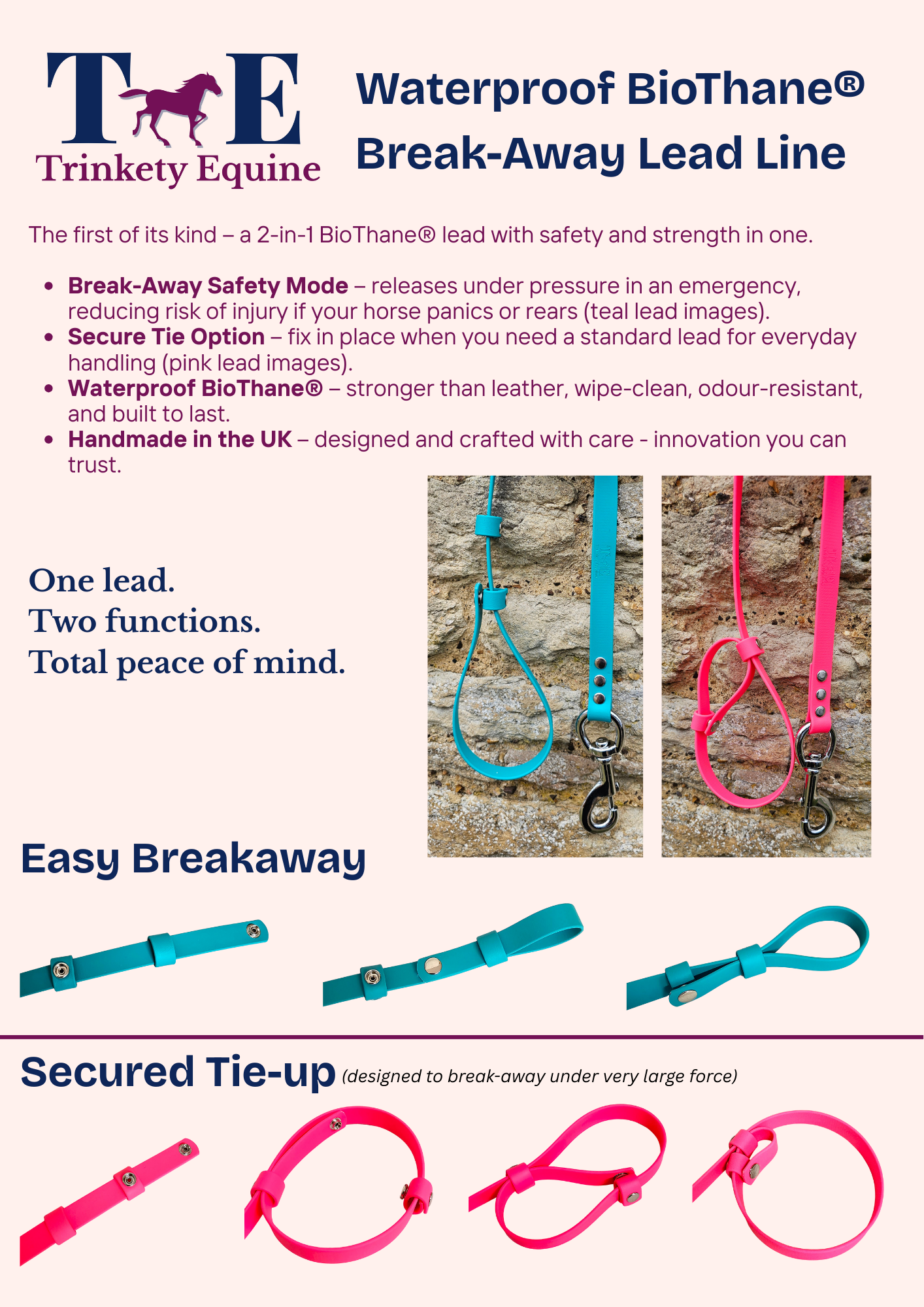 Burgundy - Waterproof BioThane® Break-Away Lead Line with Chain