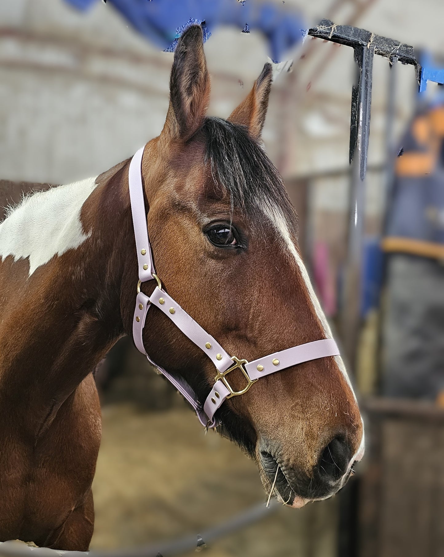 Lilac - Classic BioThane® waterproof Horse Halter