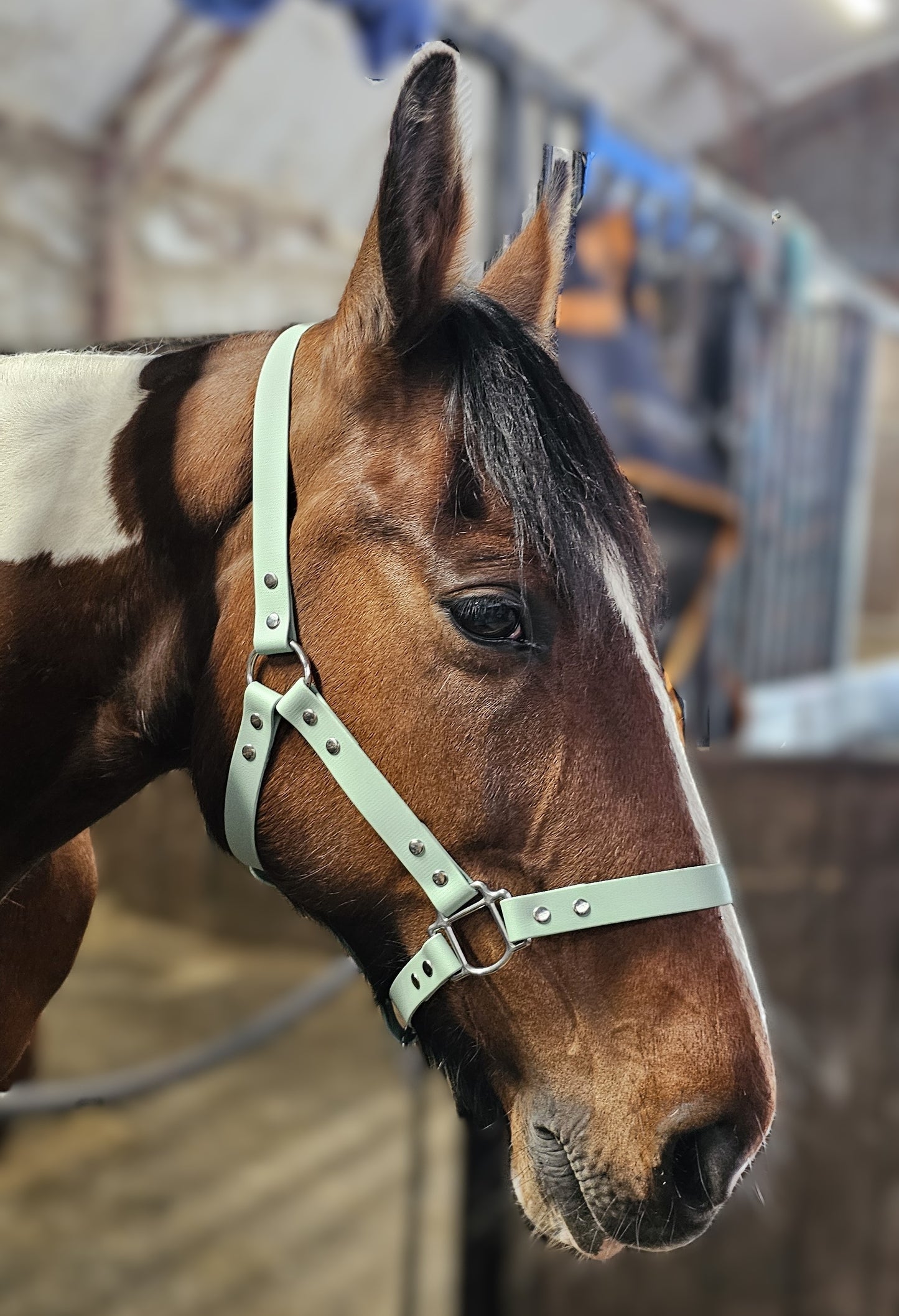 Sage - Classic BioThane® waterproof Horse Halter