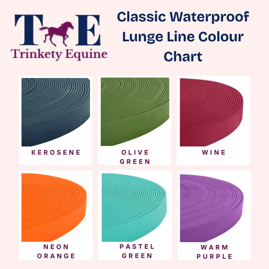 Wine - Waterproof Webbing Horse Lunge Lines